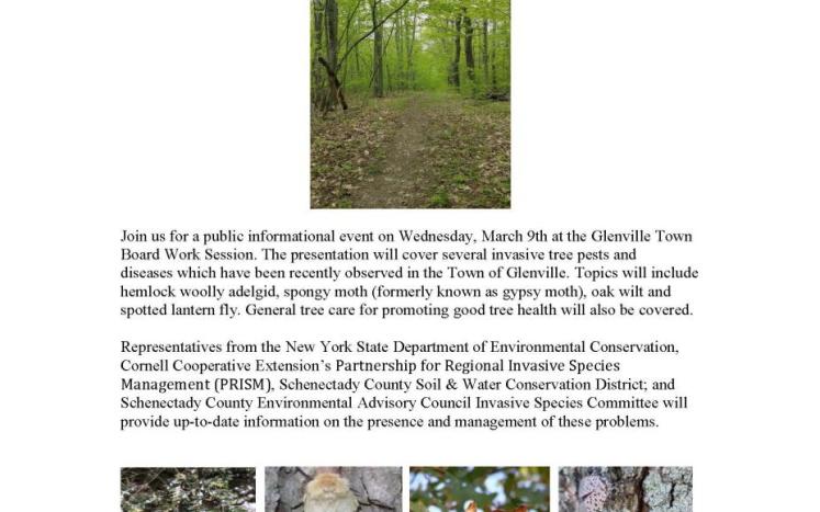 Flyer on tree health forum